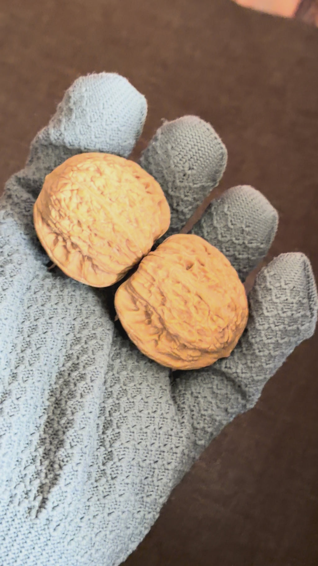 Hydrangea Wenwan Walnut · 40mm · Natural · Premium Ritual