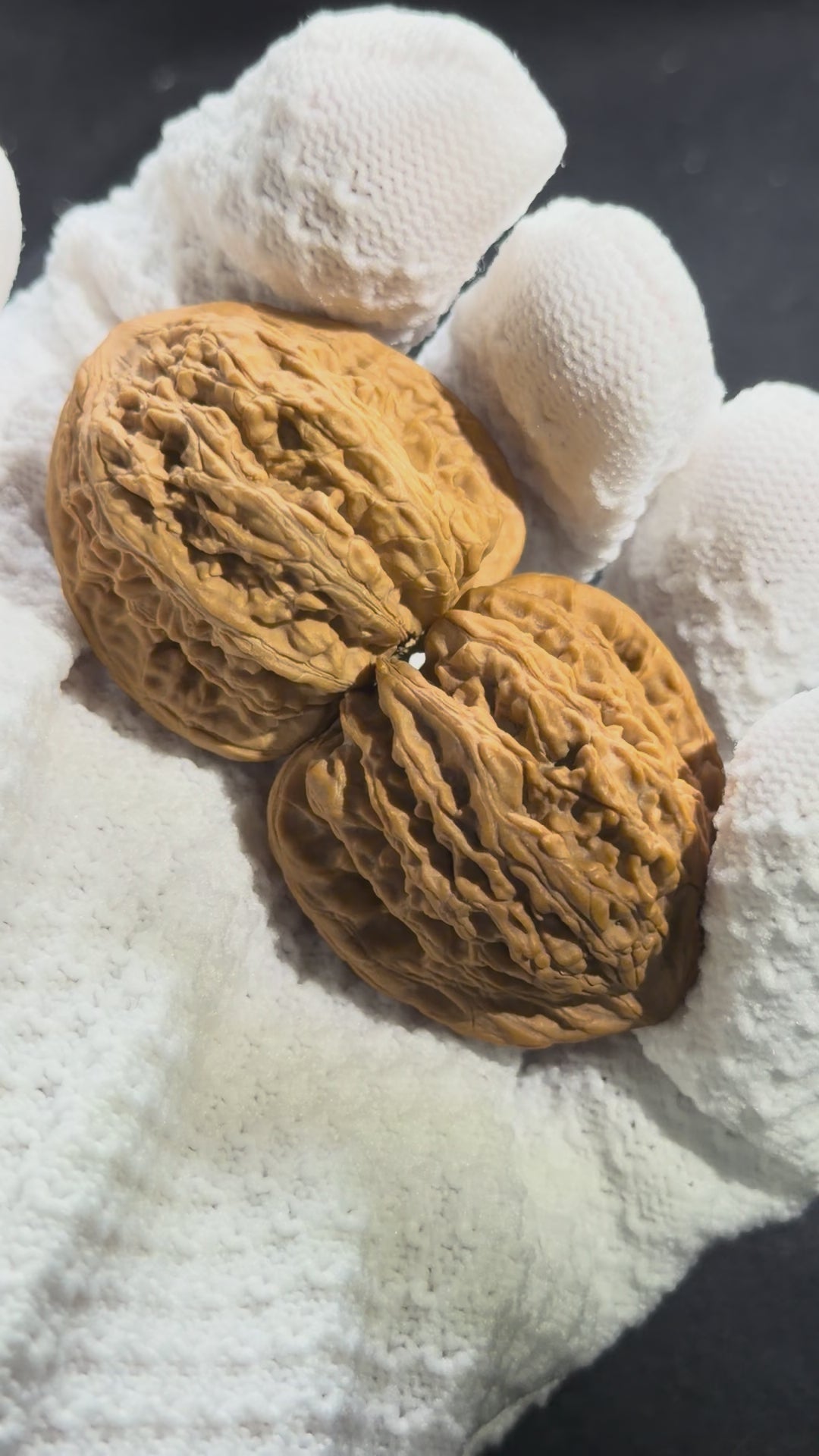 Ruby Wenwan Walnut · 36mm · Natural · Premium Ritual