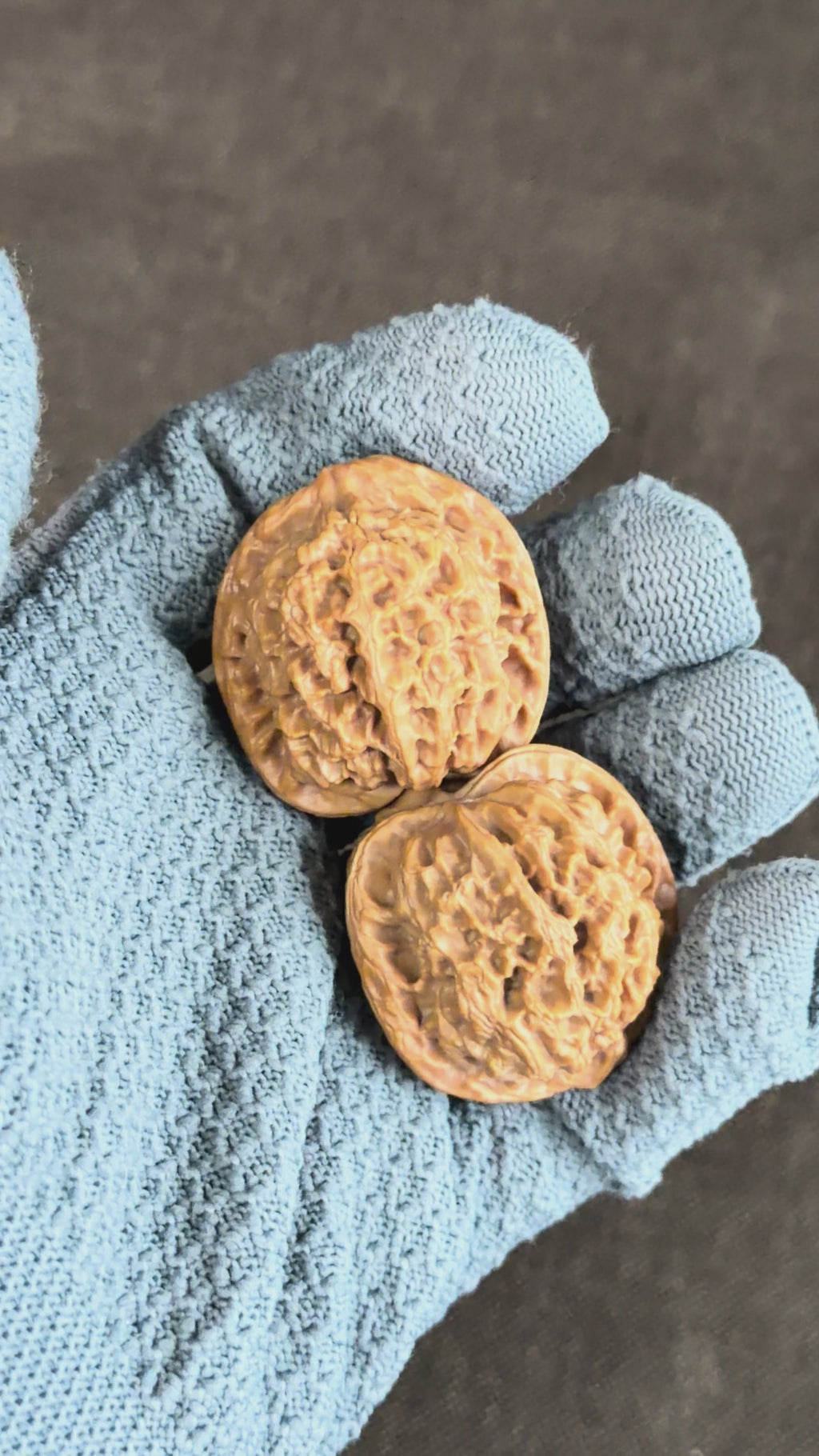 Snow Lion Head Wenwan Walnut