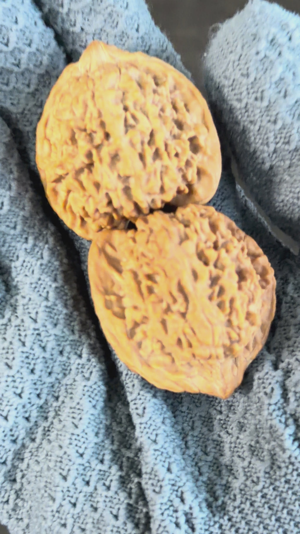 Starry Sky Lion Head Wenwan Walnut