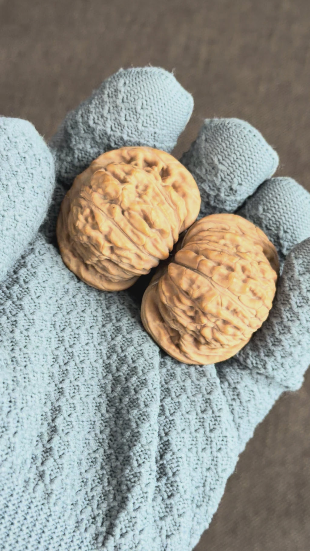 Four Towers Wenwan Walnut