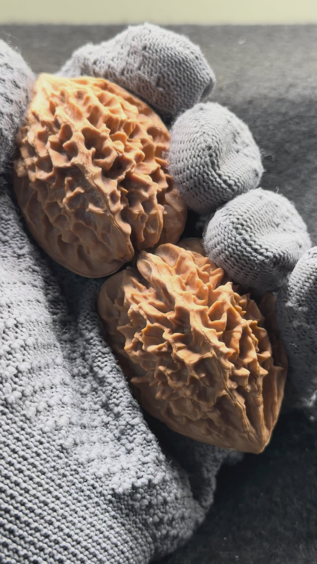 Fortune Rat Wenwan Walnut · 53mm · Natural· Premium Ritual