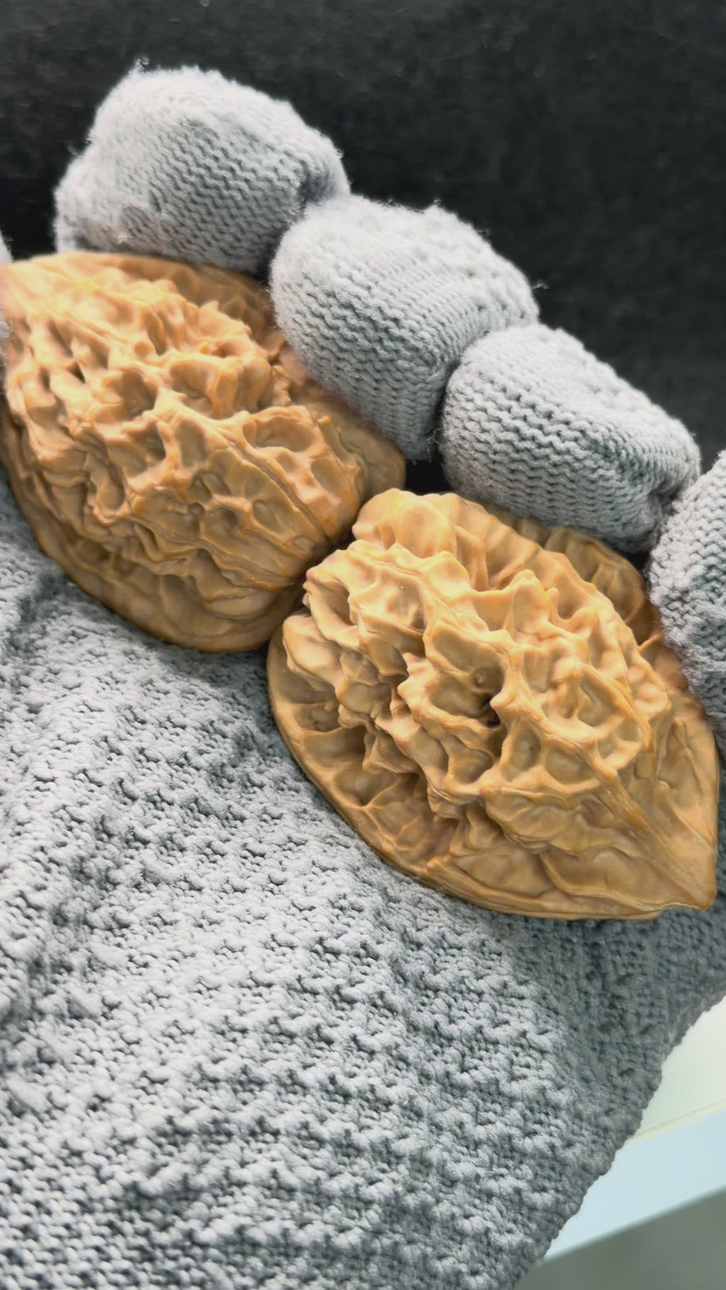 Saber-Tooth Tiger Wenwan Walnut · 48mm · Natural · Collector Ritual