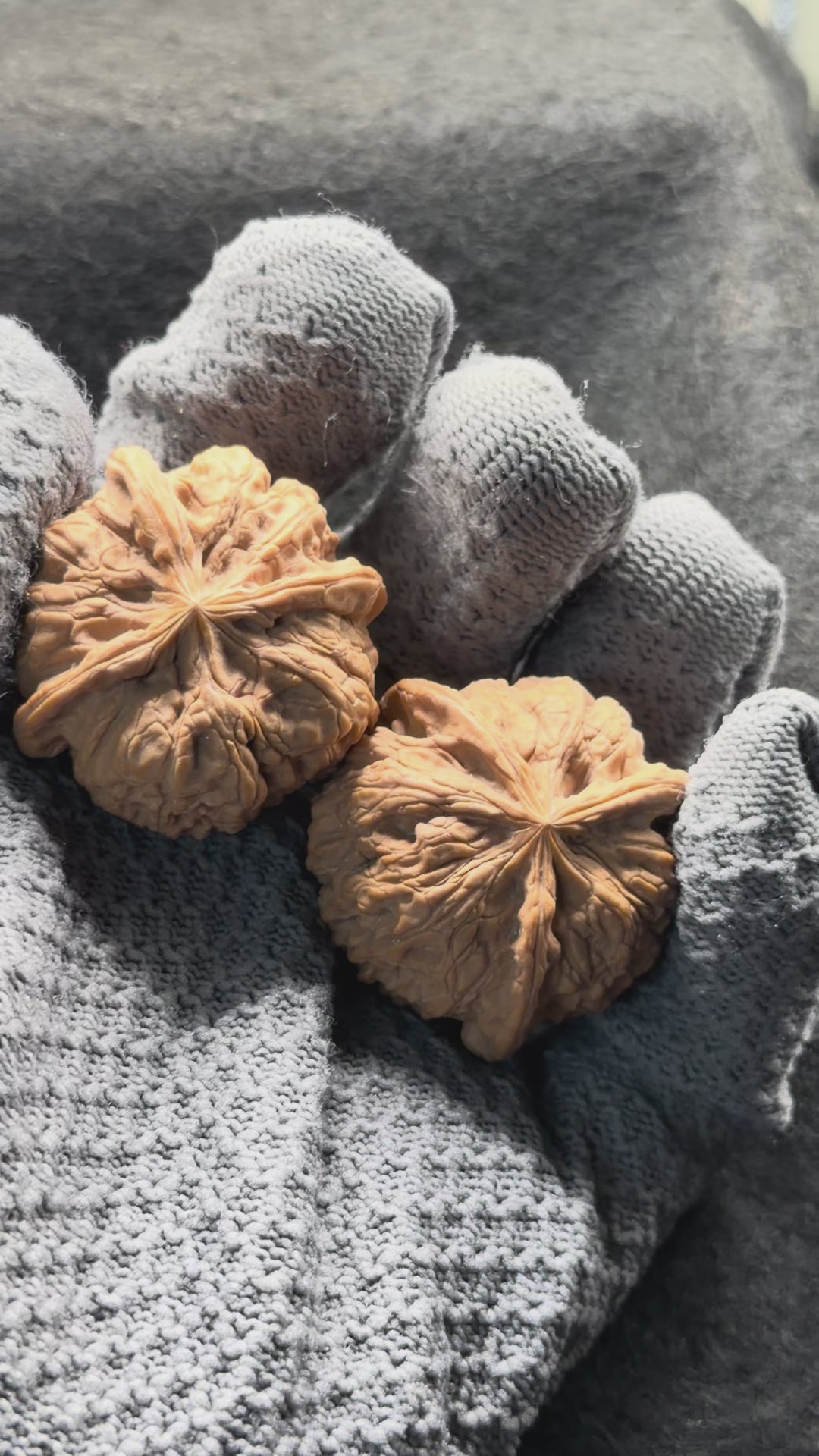 Four-Rib Wenwan Walnut · 36mm · Natural · Entry Ritual