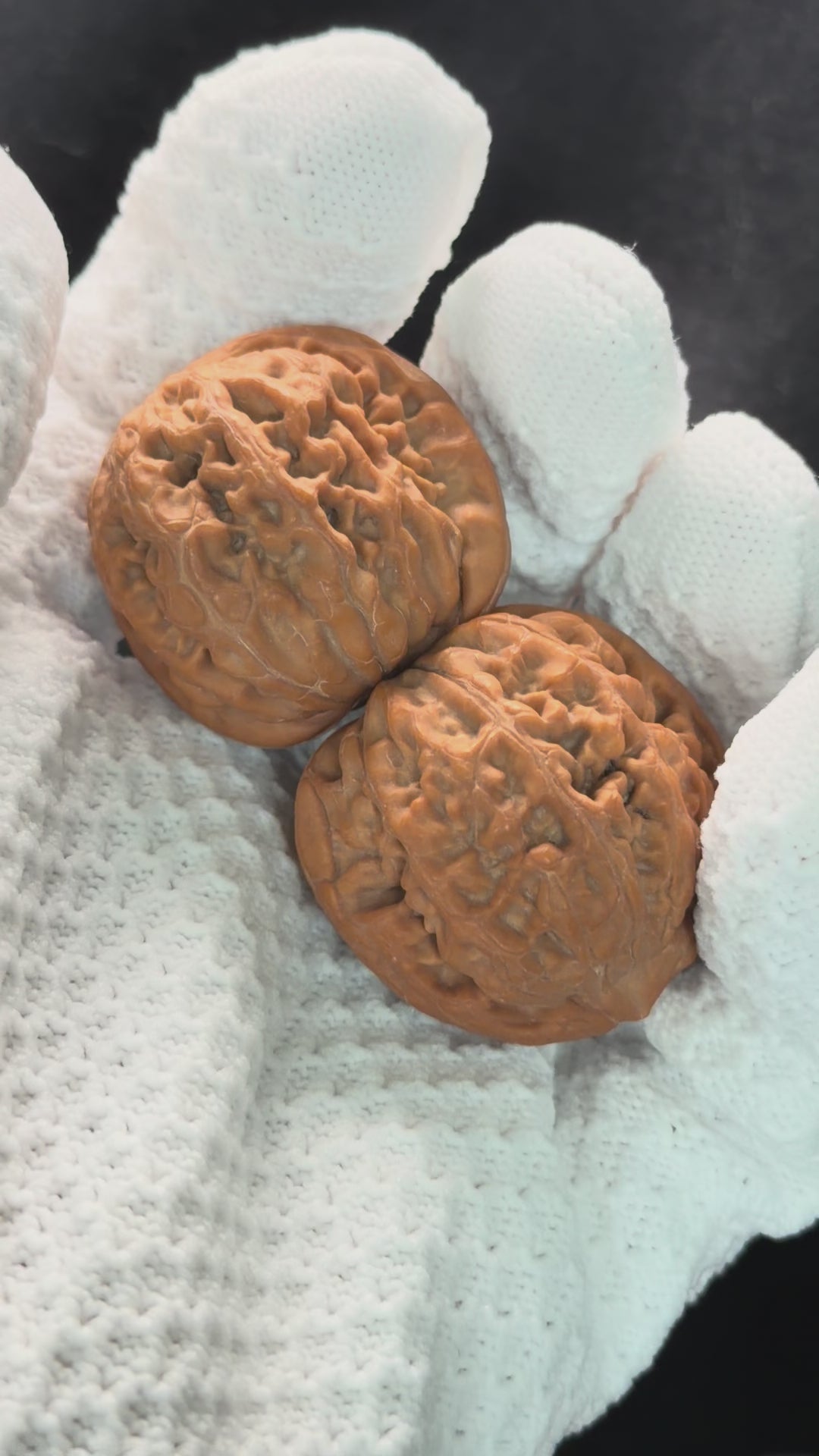 Phoenix Terrace Wenwan Walnut · 36mm · Natural · Select Ritual