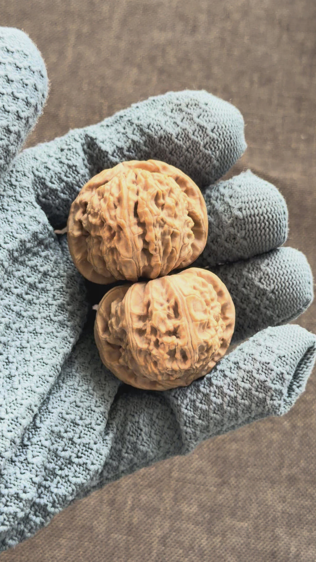 White Lion Head Wenwan Walnut