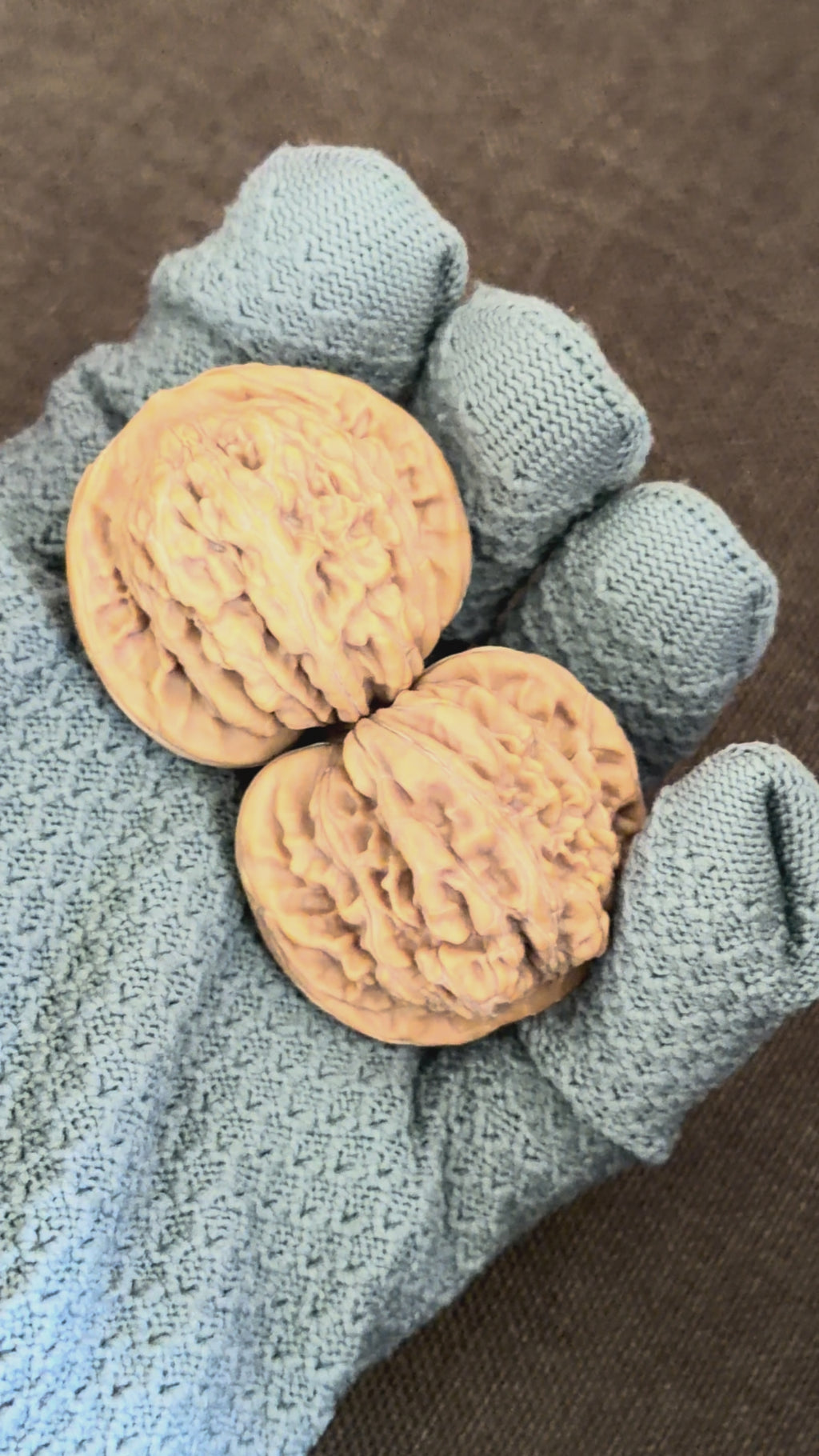 Four Towers Wenwan Walnut
