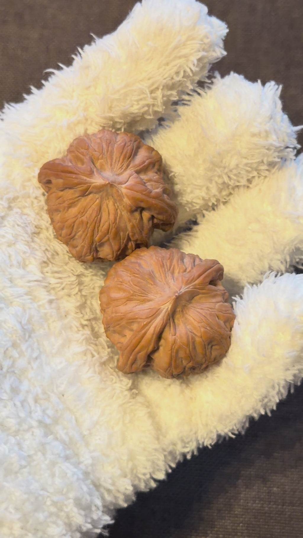 War Drum Lion Head Wenwan Walnut