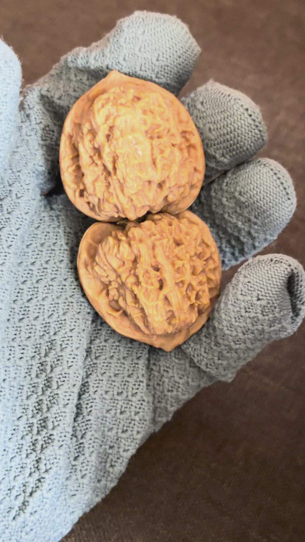 Red Lotus Wenwan Walnut · 39mm · Natural · Entry Ritual