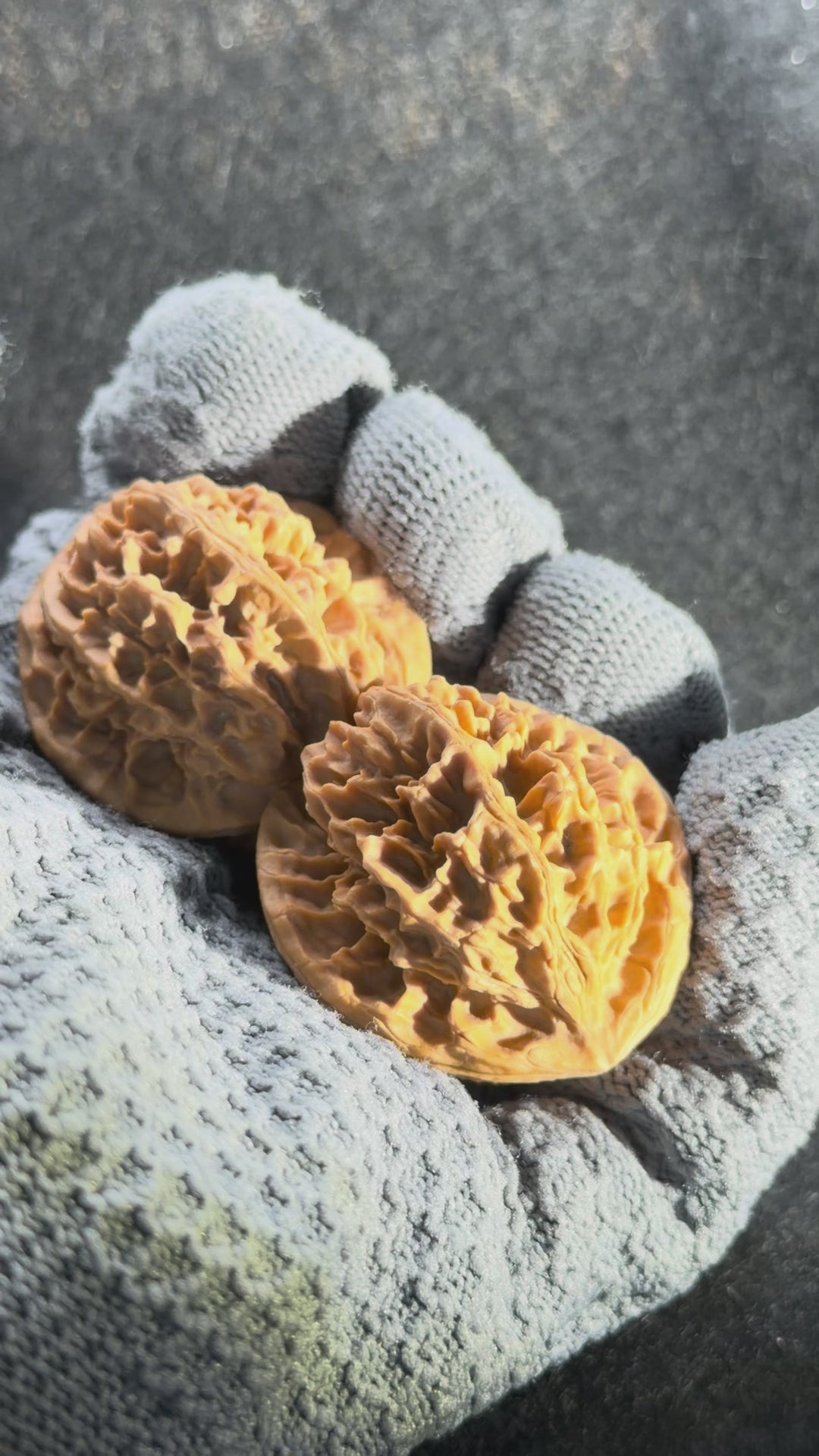 Wild · Rose Wenwan Walnut  · 36mm · Natural · Collector Ritual