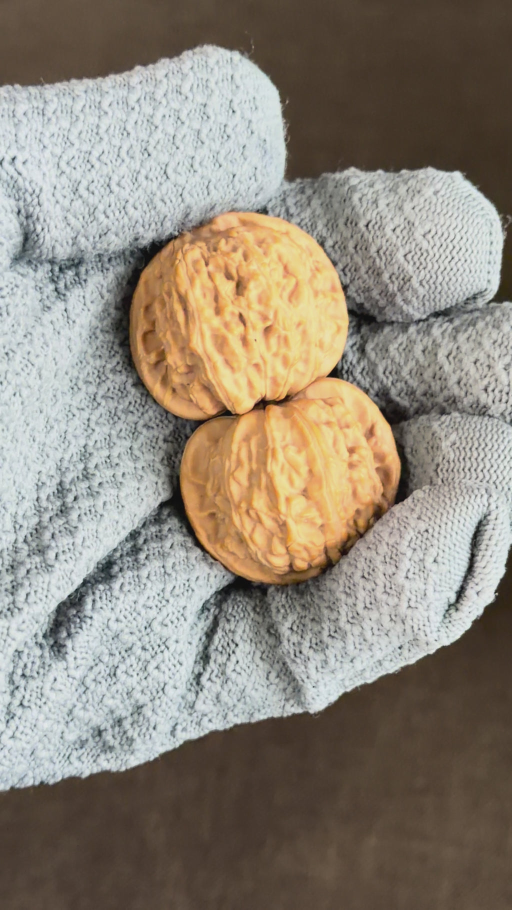 White Lion Head Wenwan Walnut