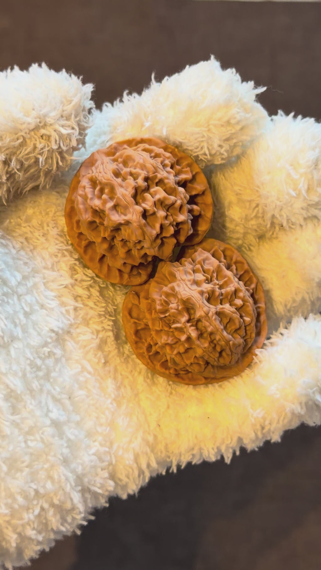 Apple Orchard Wenwan Walnut · 40mm · Natural · Select Ritual
