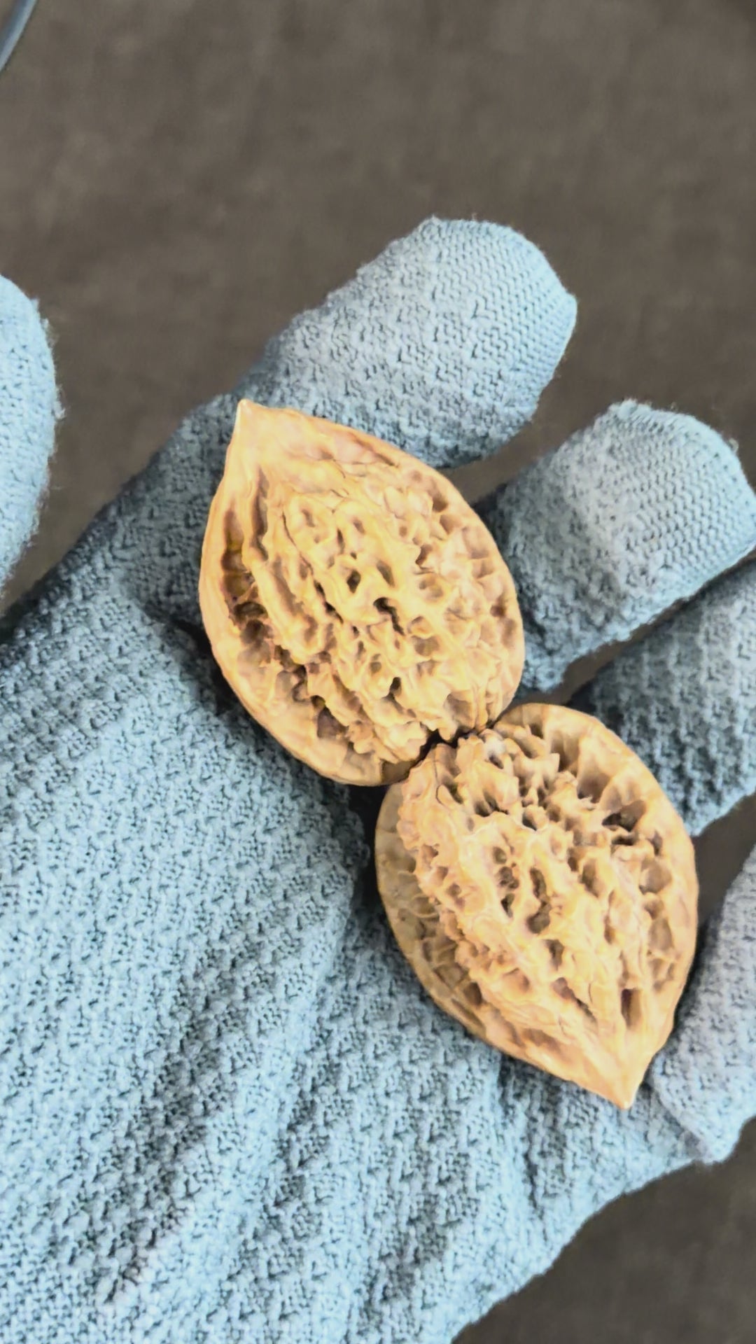 Chicken Heart Wenwan Walnut