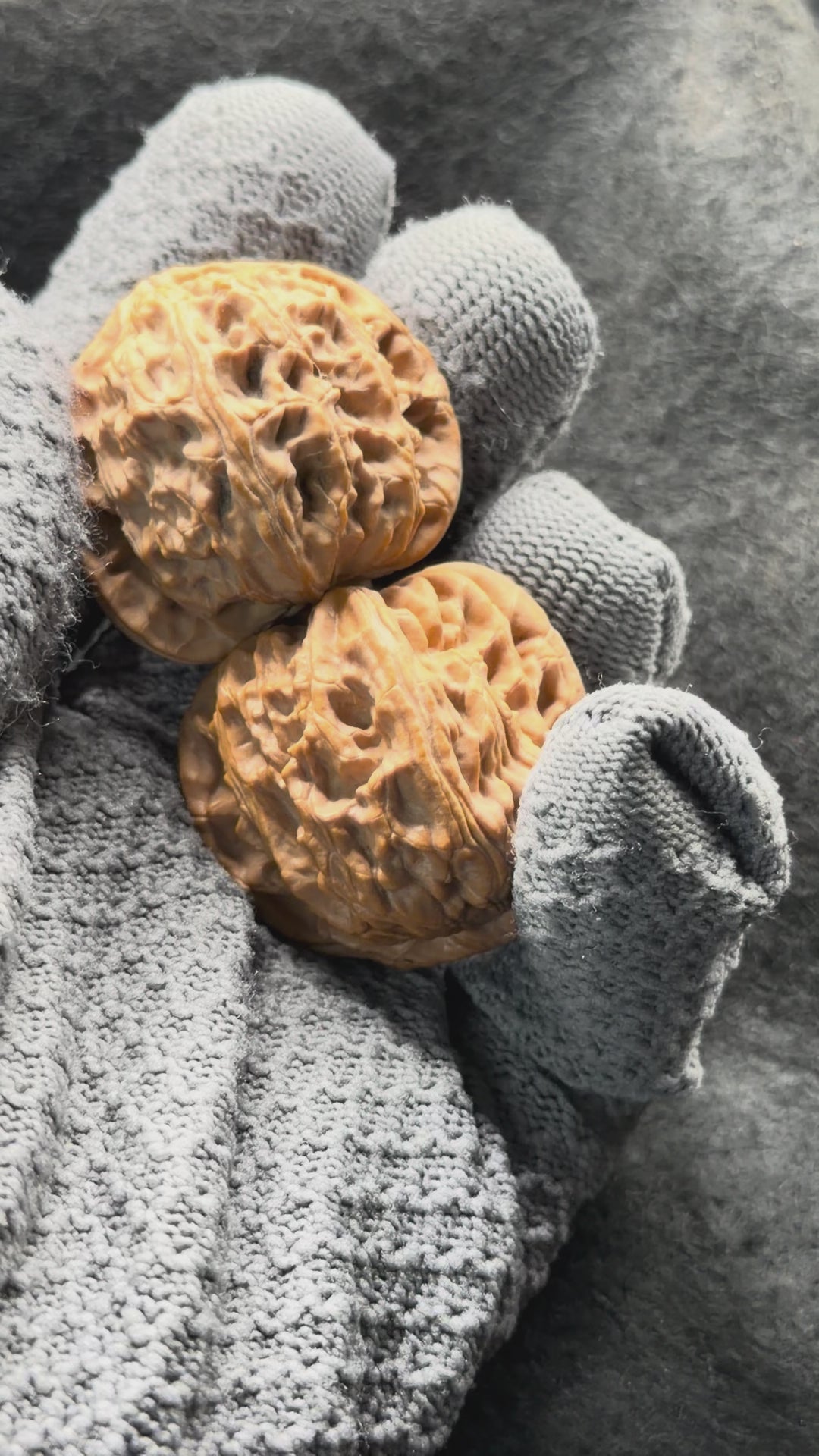 White Lion Wenwan Walnut · 38mm · Natural · Select Ritual