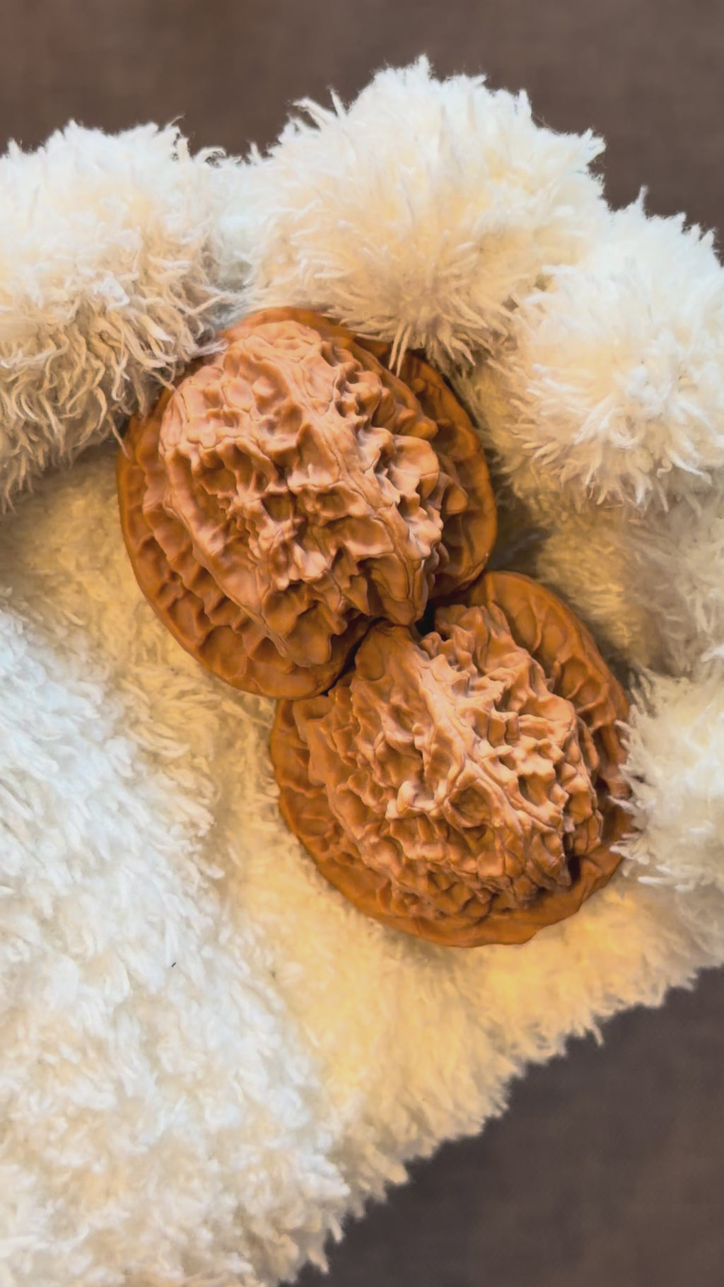 Apple Orchard Wenwan Walnut · 39mm · Natural · Select Ritual