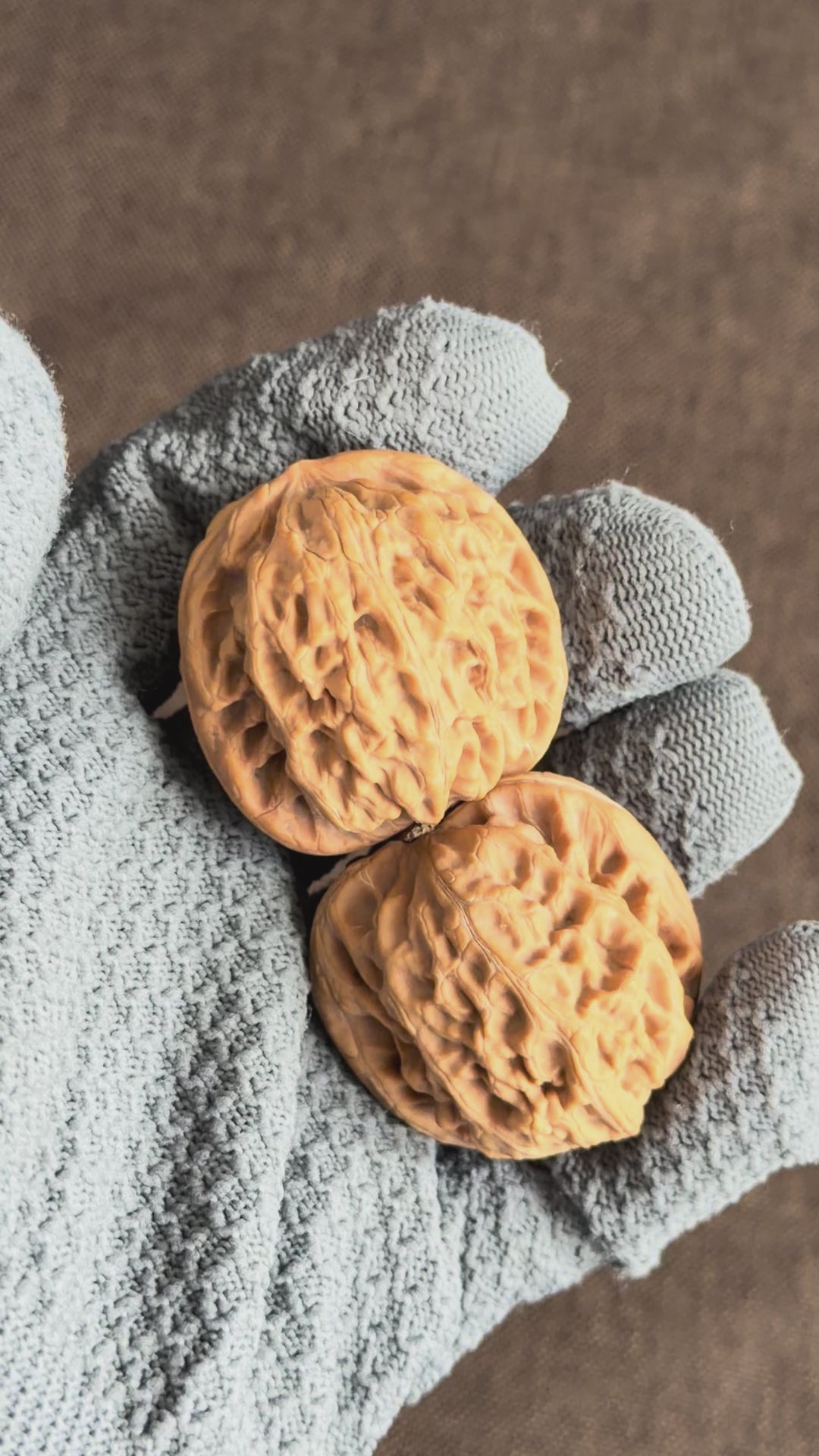 Lotus Lion Head Wenwan Walnut