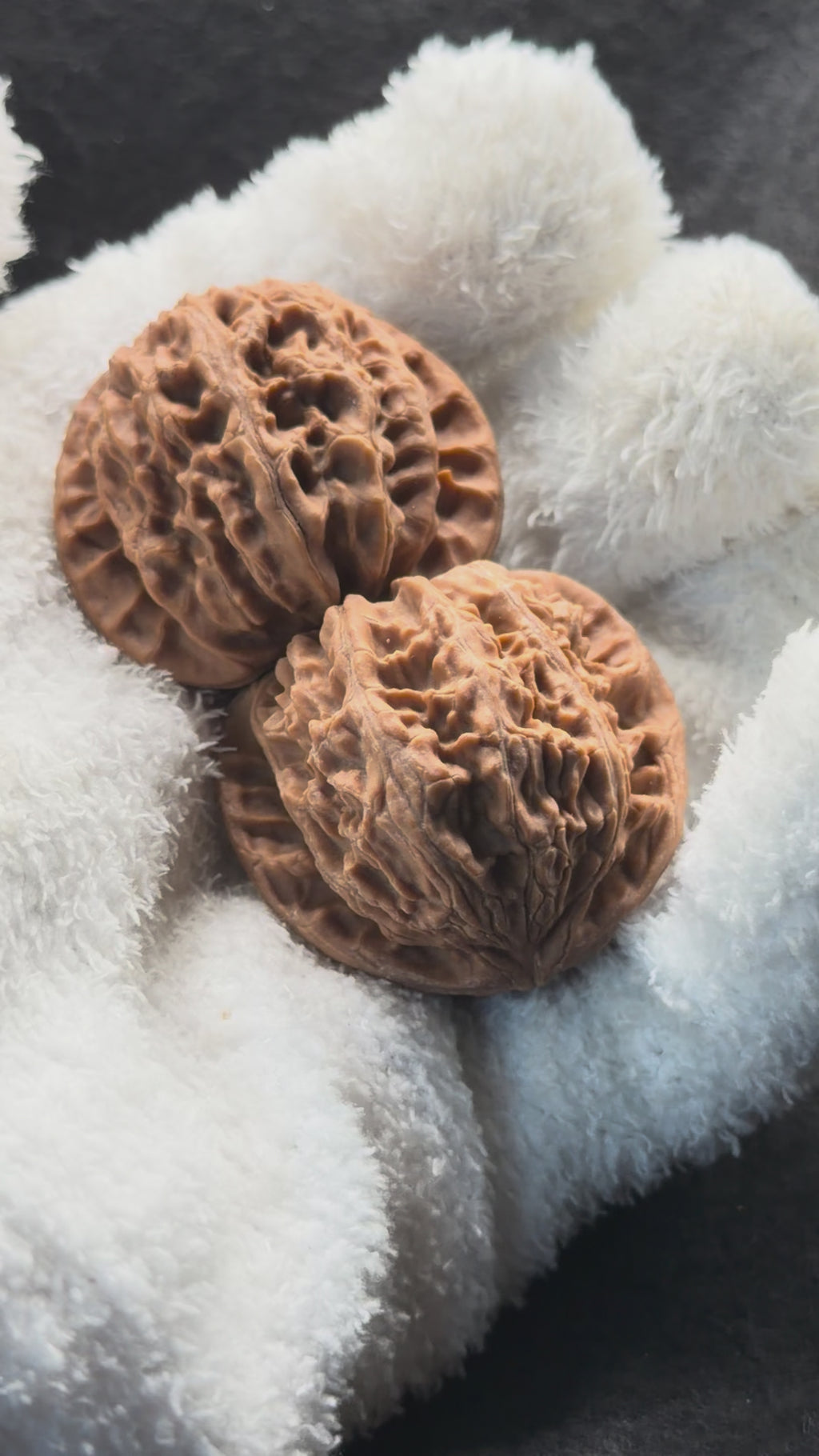 White Lion Wenwan Walnut · 38mm · Natural · Entry Ritual