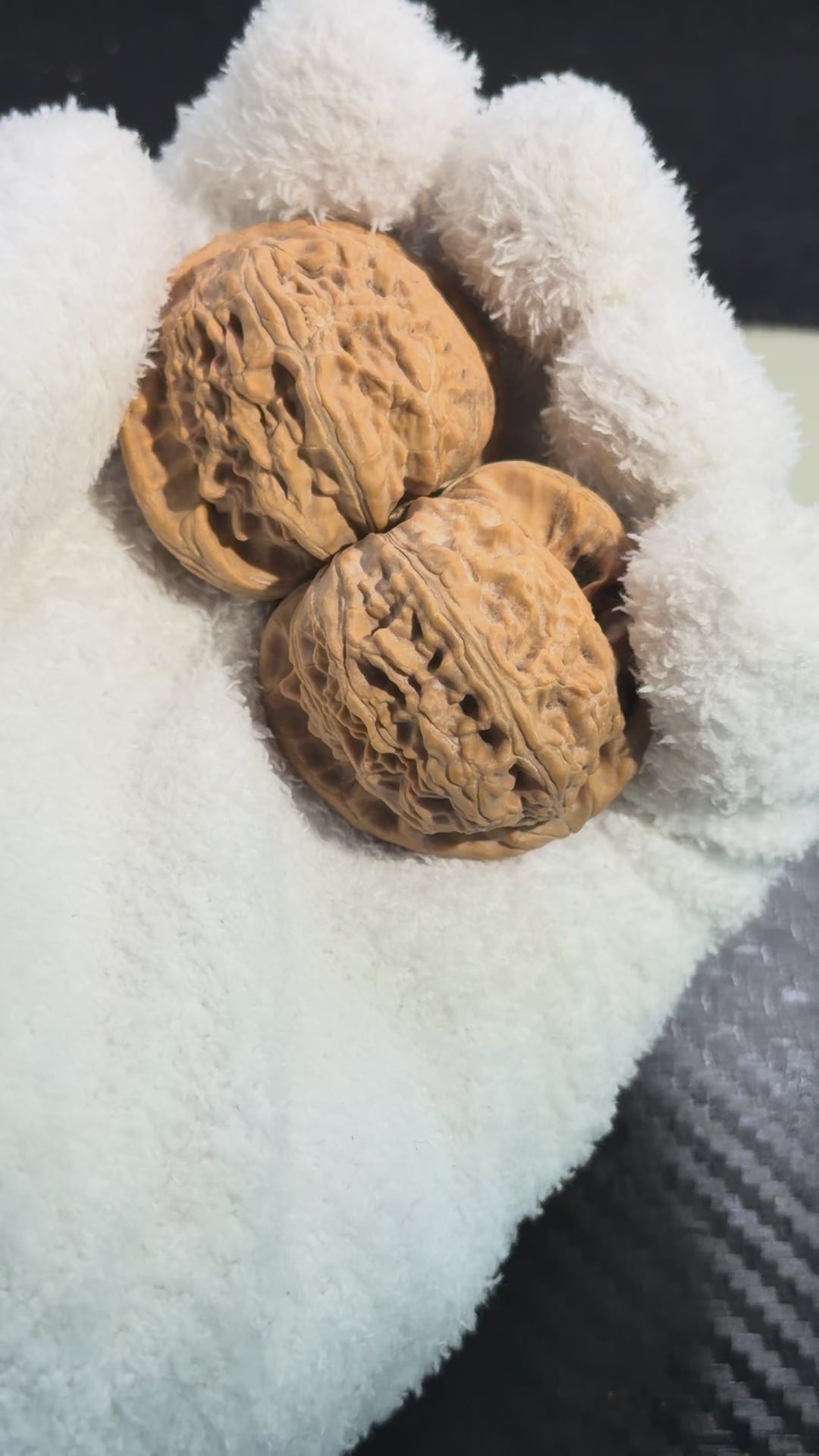 White Lion Wenwan Walnut · 38mm · Natural · Premium Ritual