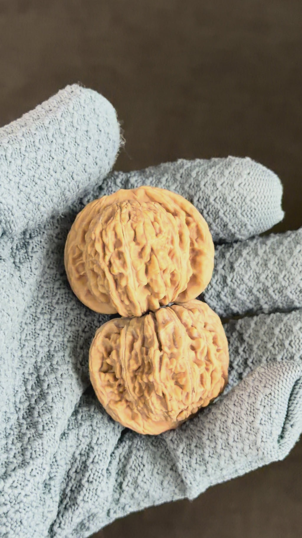 Four Towers Wenwan Walnut