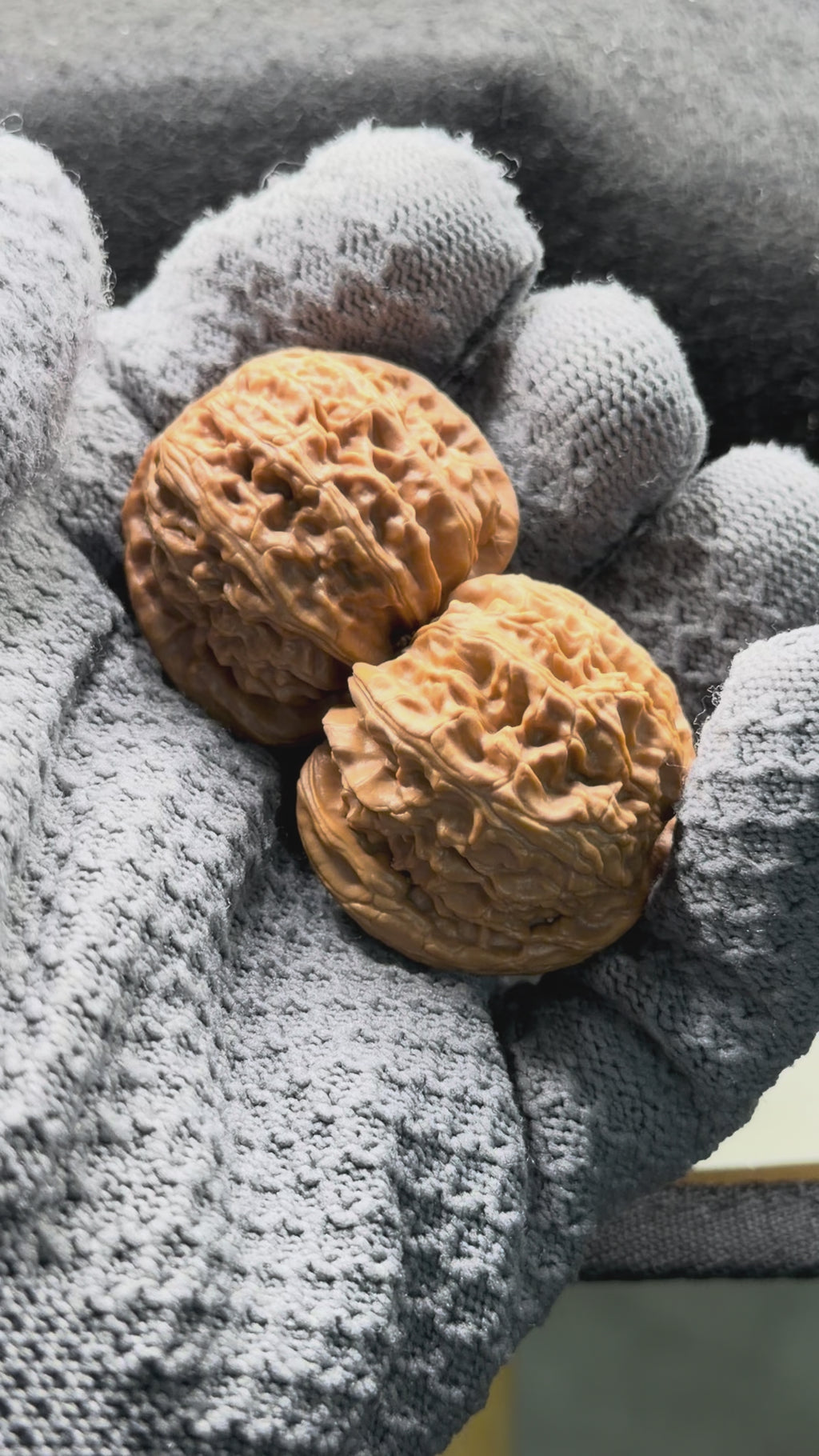 White Lion Wenwan Walnut · 37mm · Select Ritual