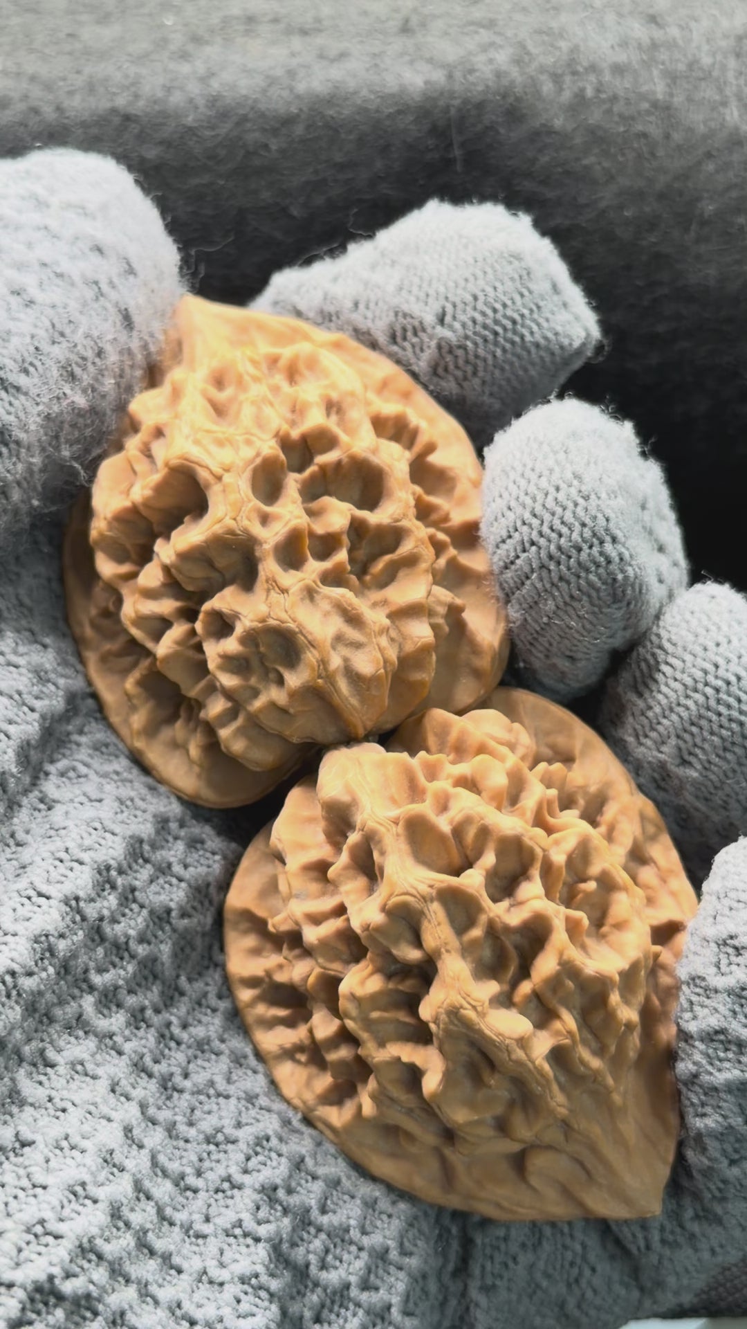 Emperor Wenwan Walnut  · 42mm · Natural · Select Ritual