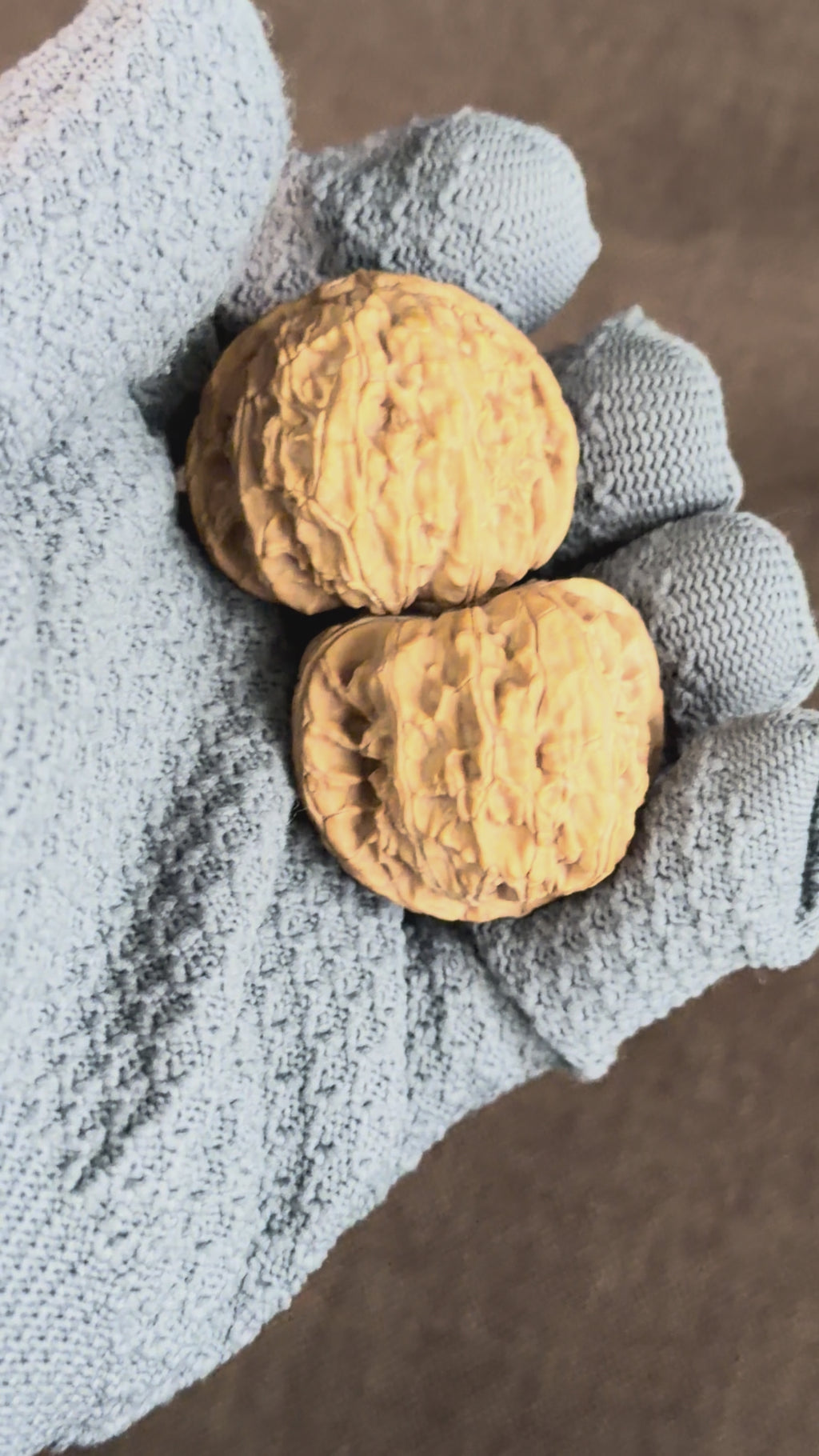 White Lion Head Wenwan Walnut