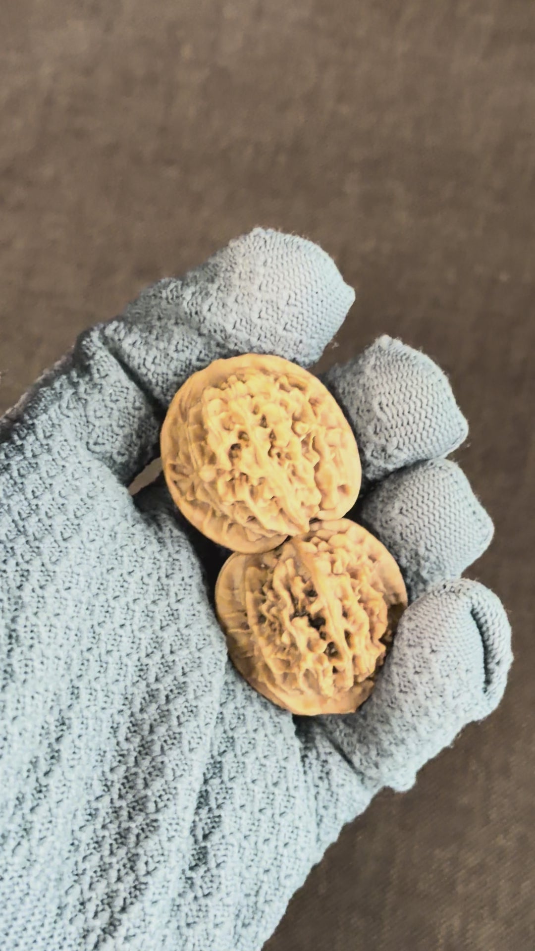 Qinmen (Mini) Lion Head Wenwan Walnut
