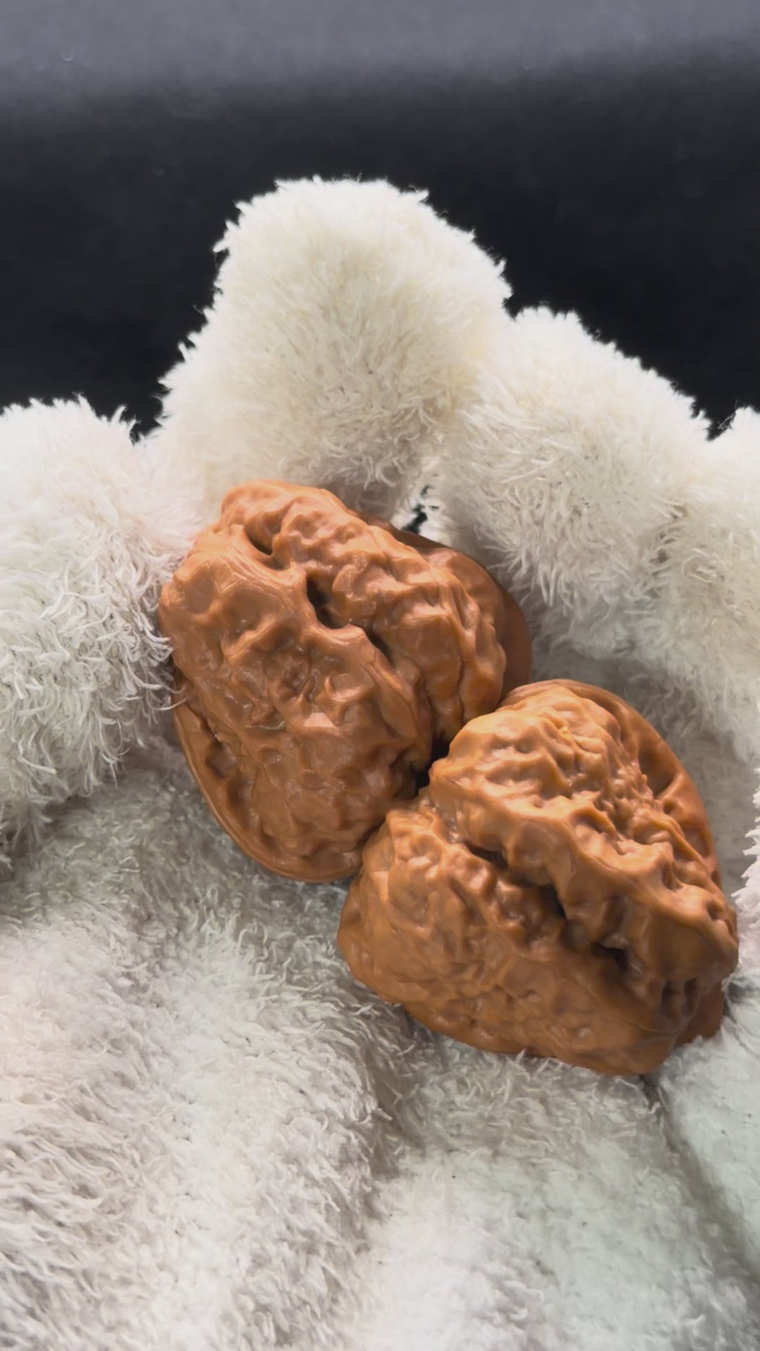 Tri-Edge Toad Head Wenwan Walnut · 37mm · Collector Ritual