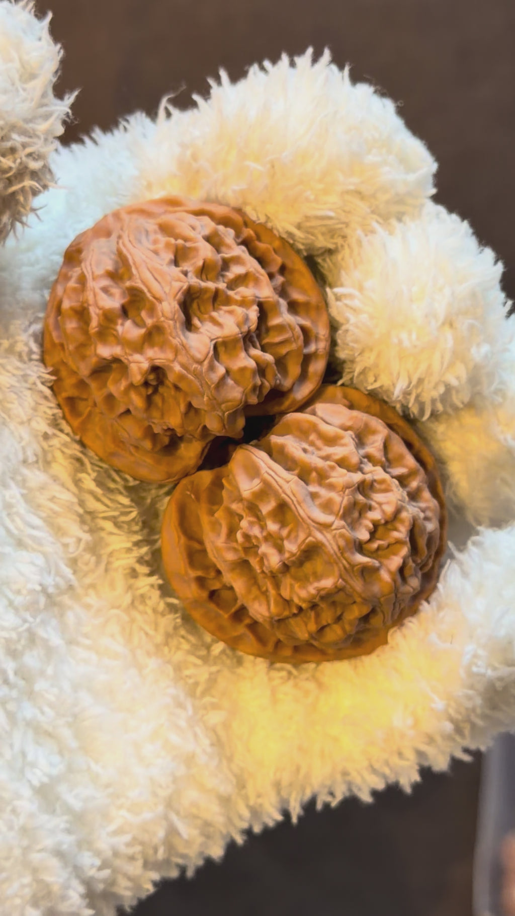 Apple Orchard Wenwan Walnut · 42mm · Natural · Premium Ritual