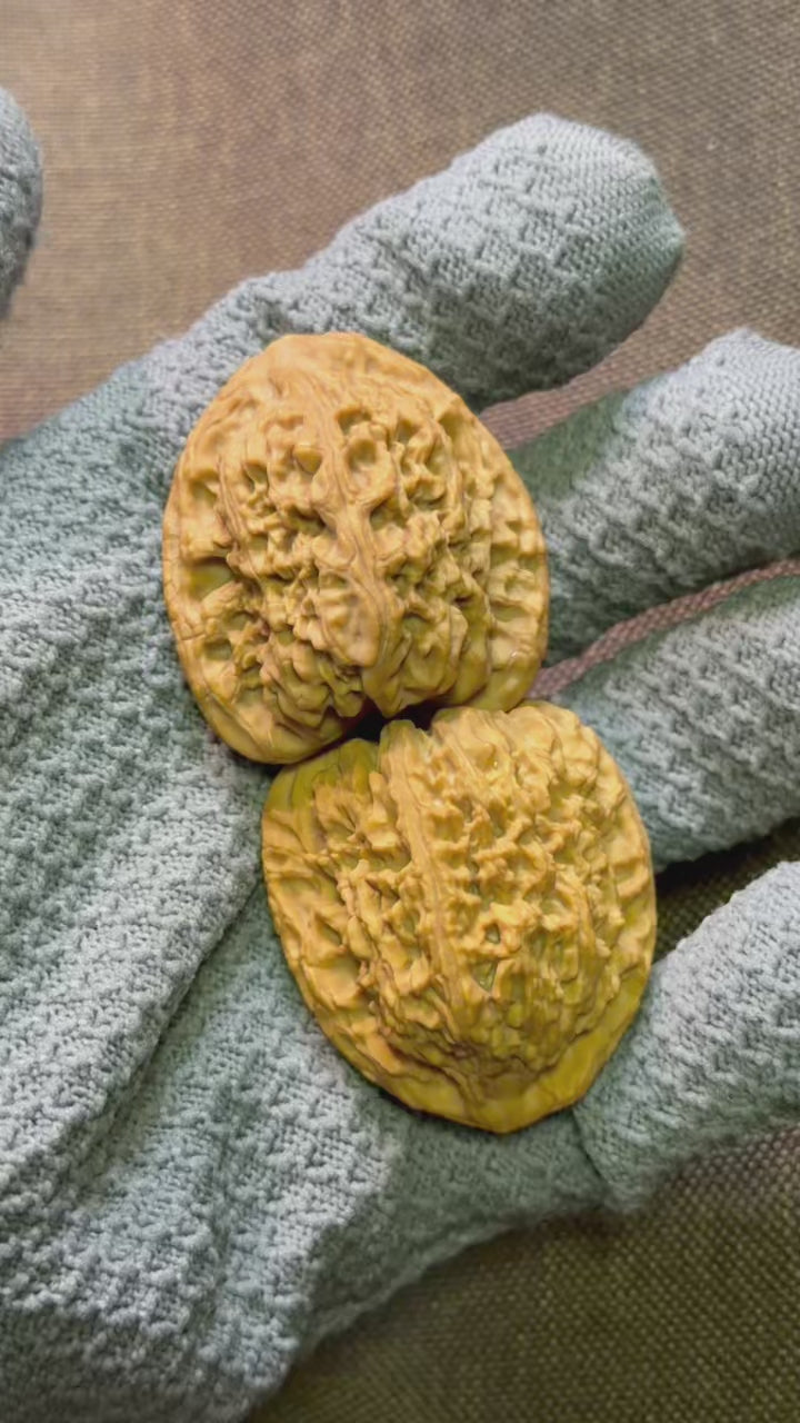 Nanjiang Stone Lion Head Wenwan Walnut