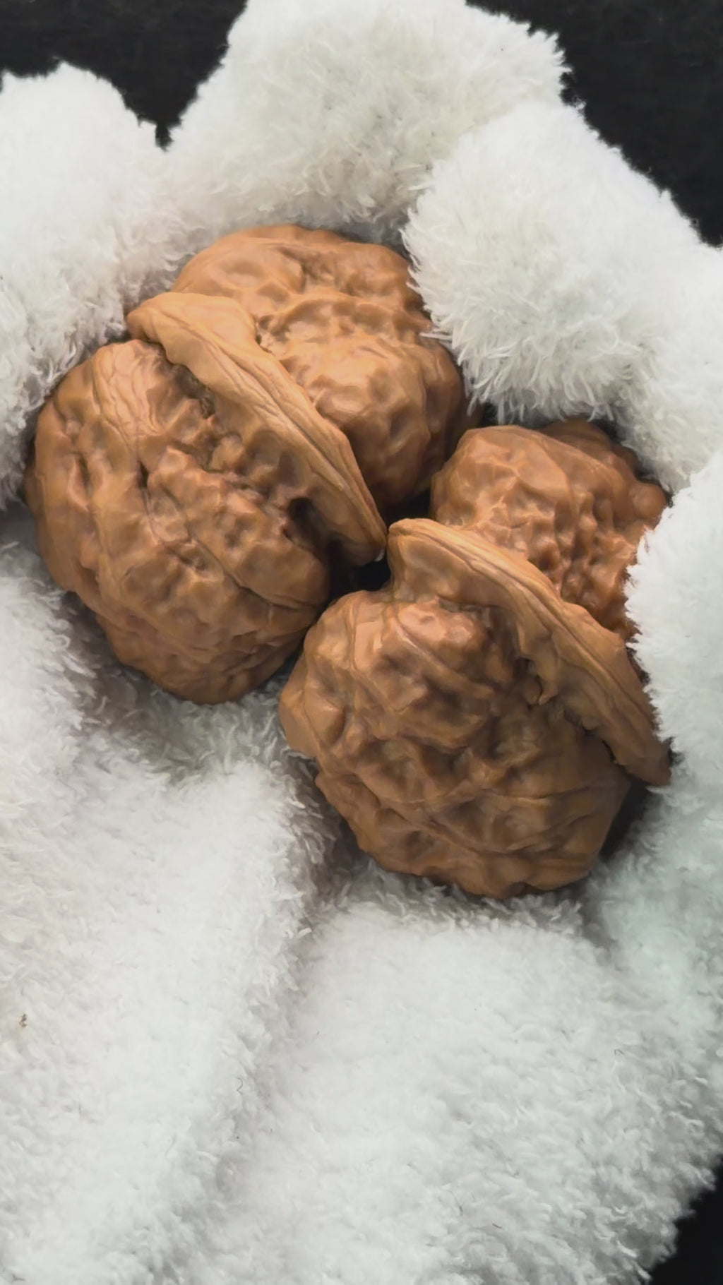 Toad Head Wenwan Walnut  · 37mm · Entry Ritual