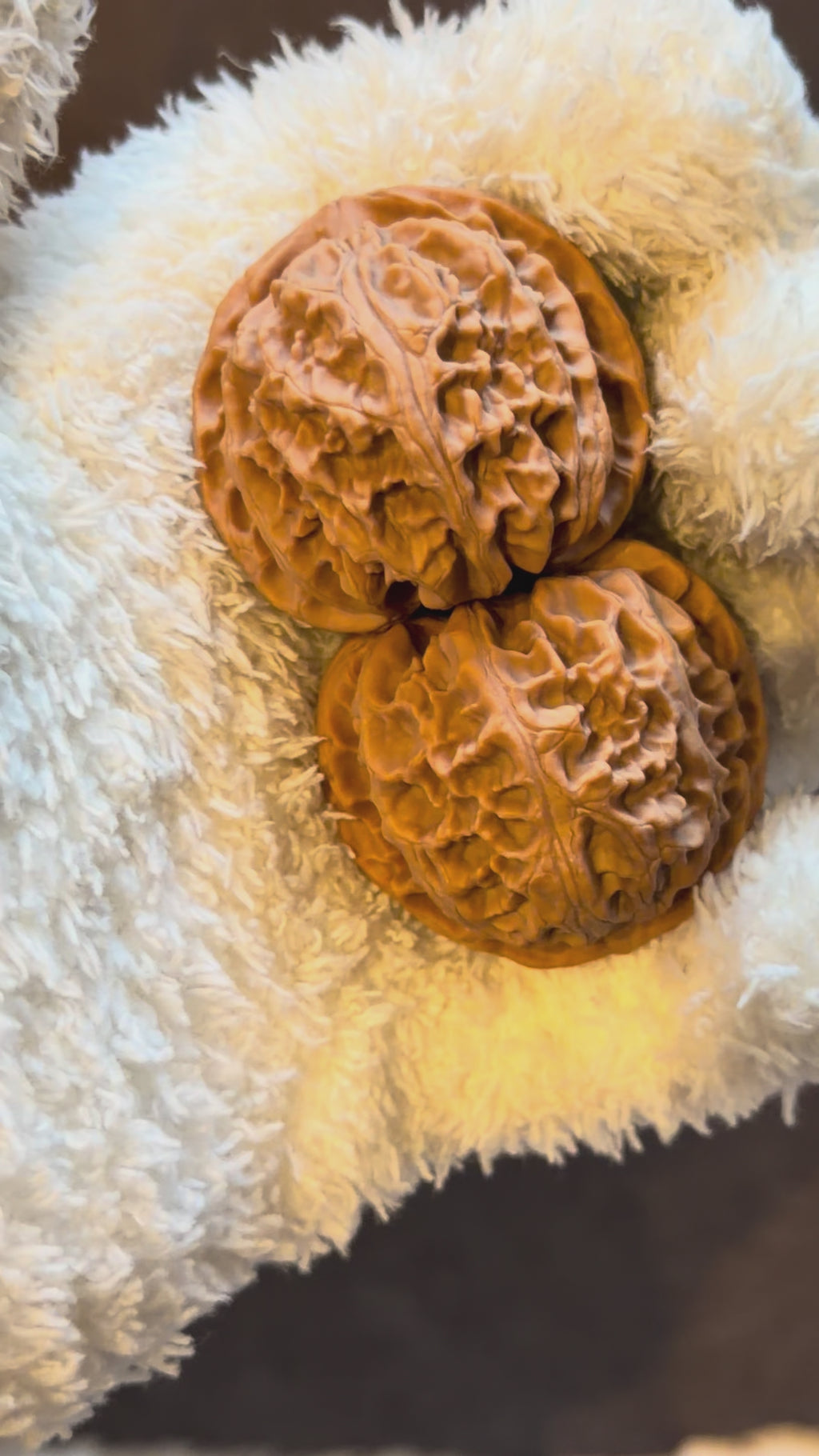 Apple Orchard Wenwan Walnut · 42mm · Natural · Premium Ritual