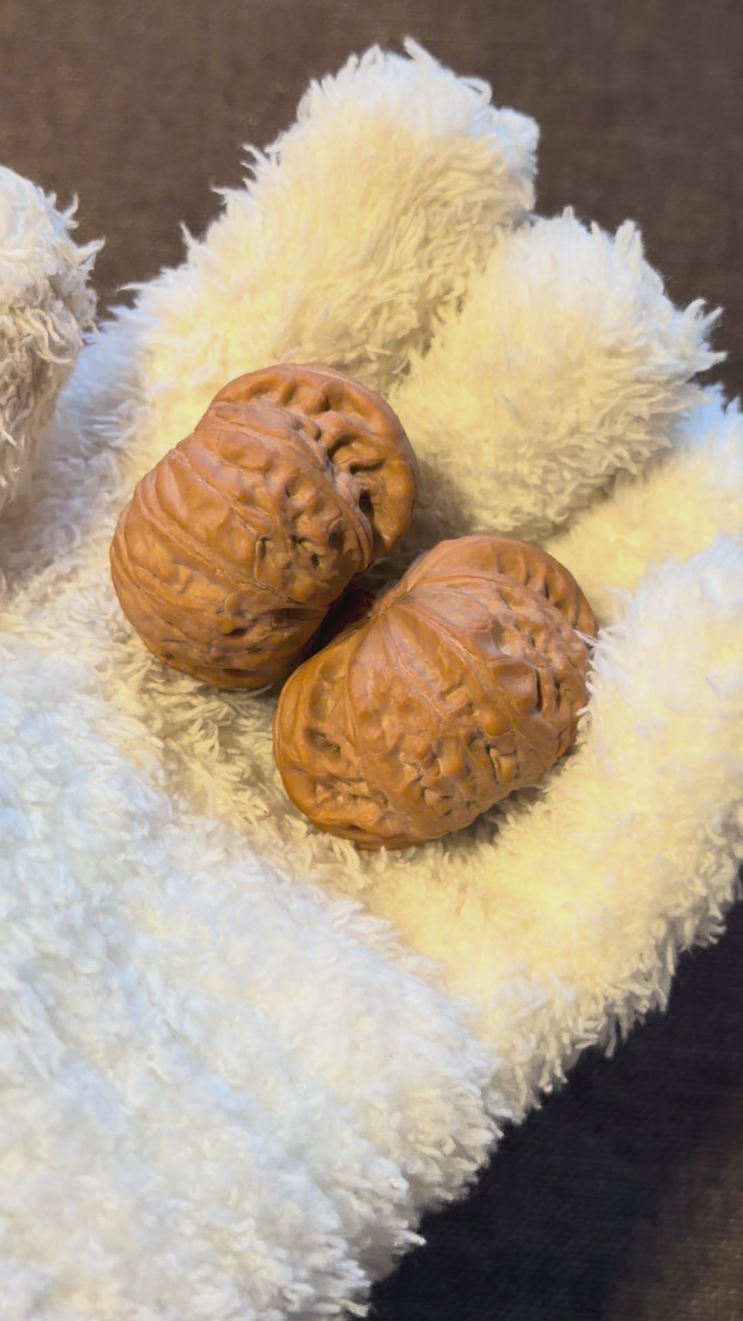 War Drum Lion Head Wenwan Walnut