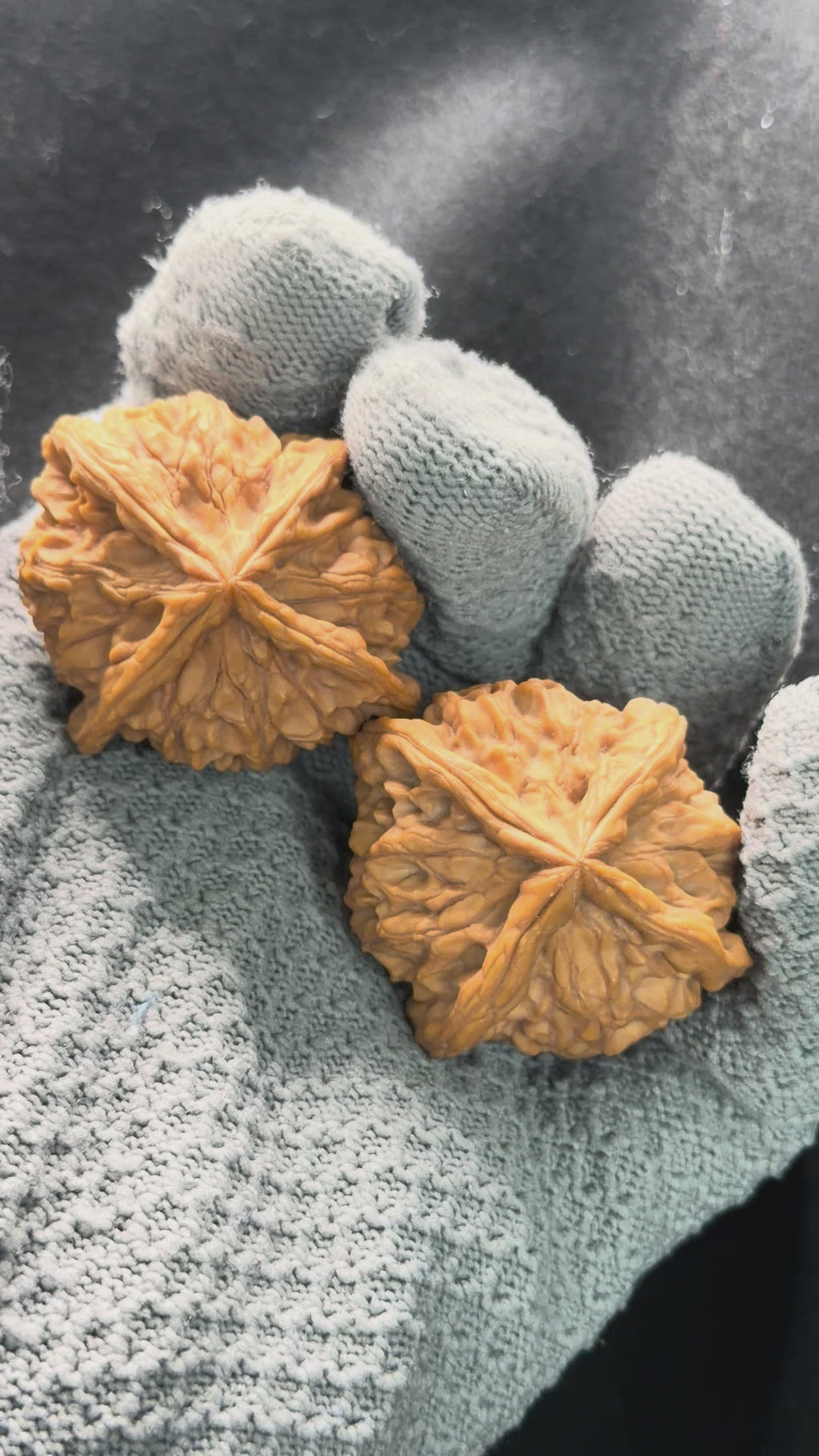 Four-Rib Wenwan Walnut · 44mm · Natural · Select Ritual