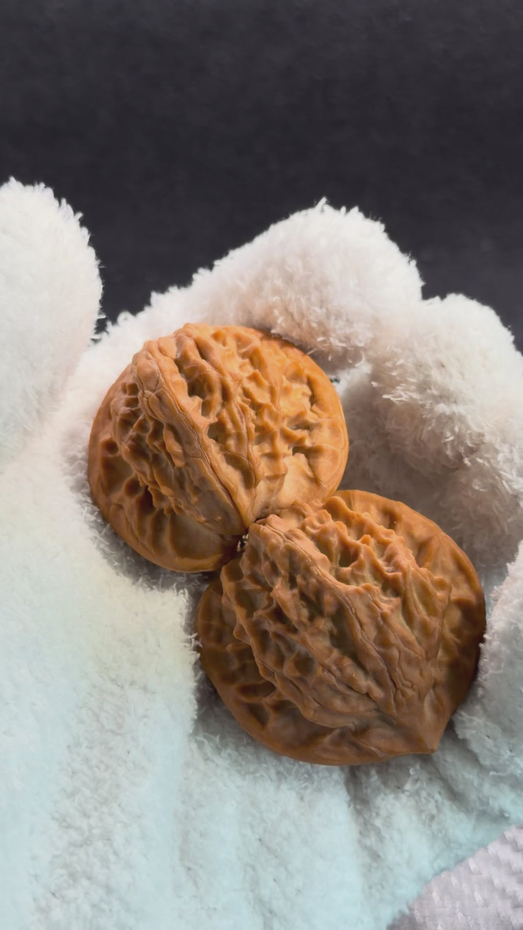 Golden Prince Wenwan Walnut · 39mm · Natural · Premium Ritual