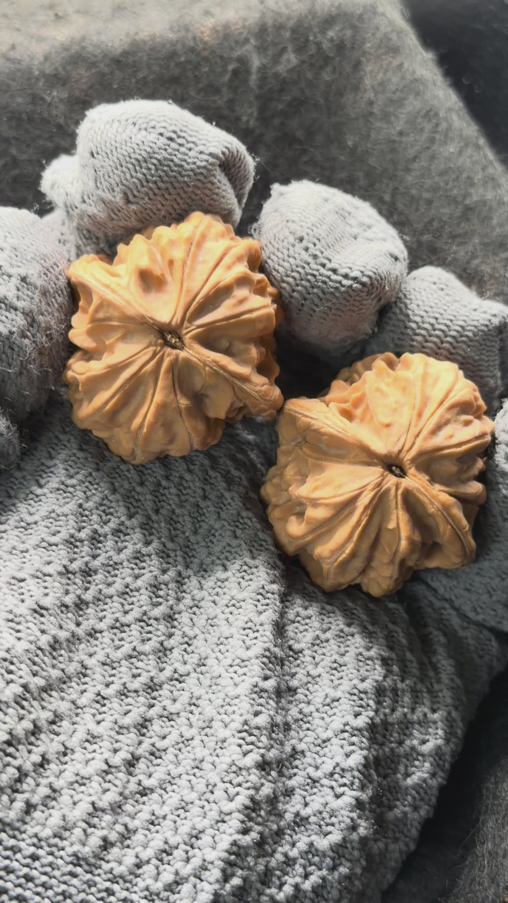 Plantain Fan Wenwan Walnut · 38mm · Natural · Select Ritual