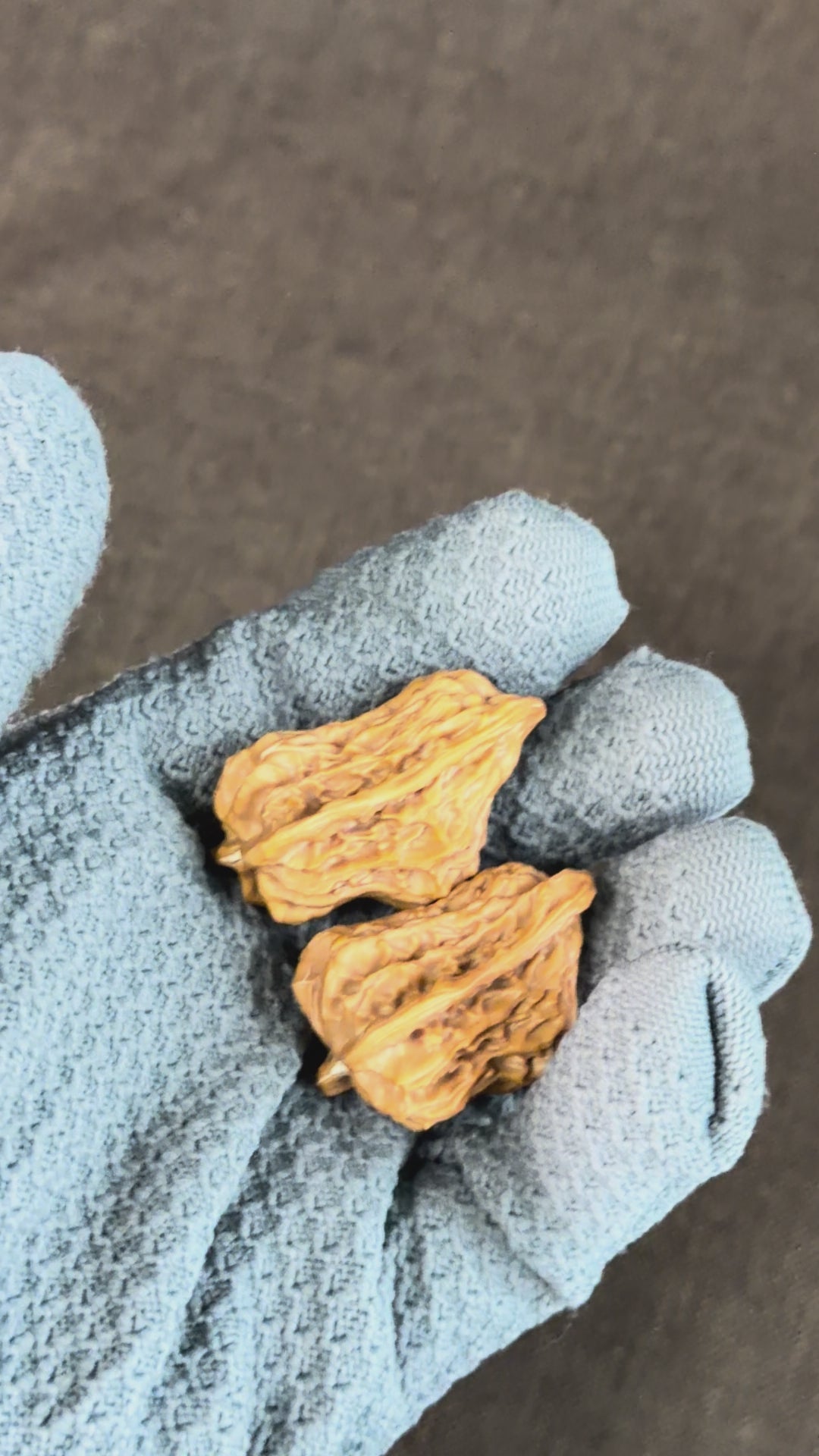 Bird Wenwan Walnut
