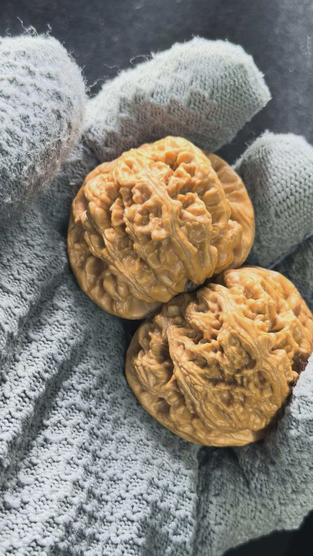 Thick Rib Lion Head Wenwan Walnut · 43mm · Select Ritual