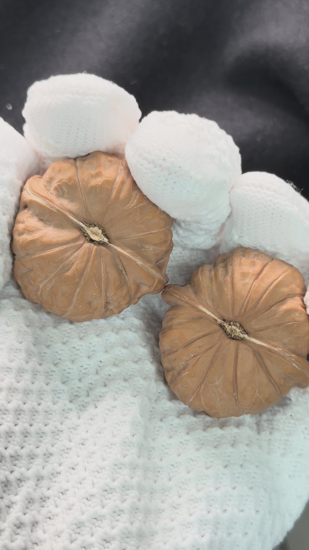 Pumpkin Wenwan Walnut · 39mm · Natural · Select Ritual
