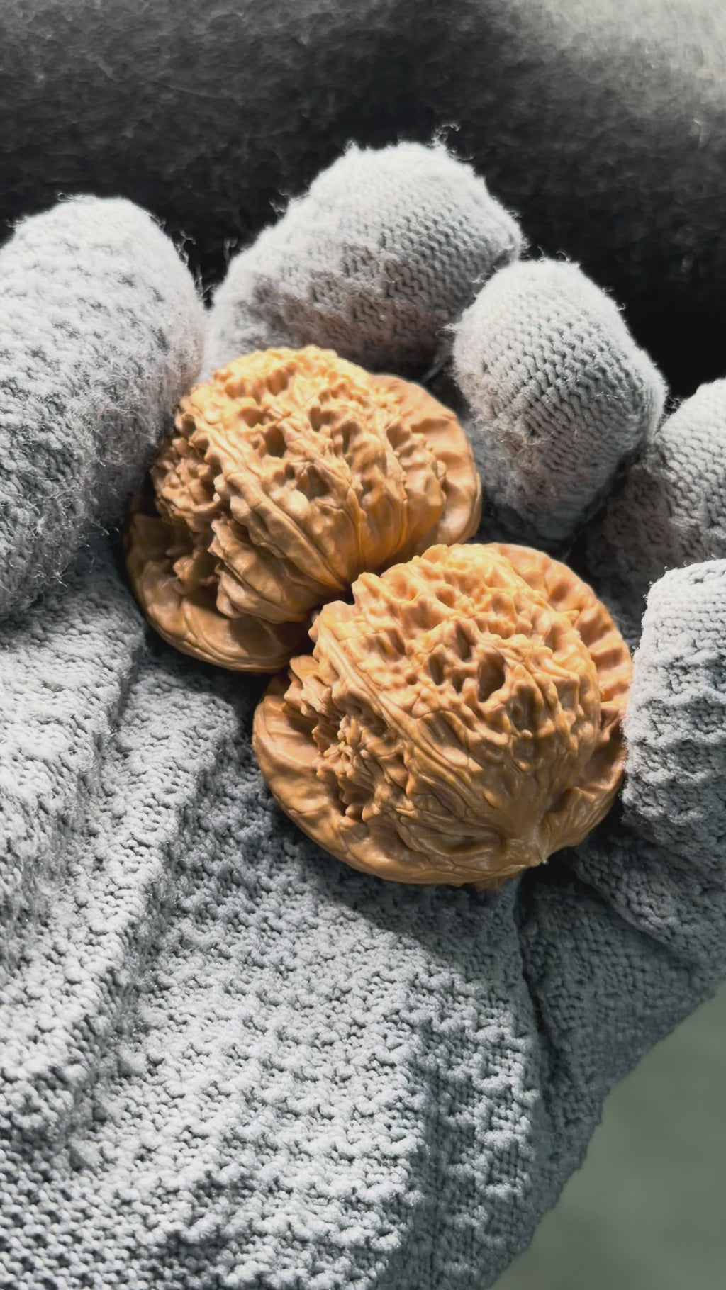 White Lion Wenwan Walnut · 40mm · Natural · Select Ritual