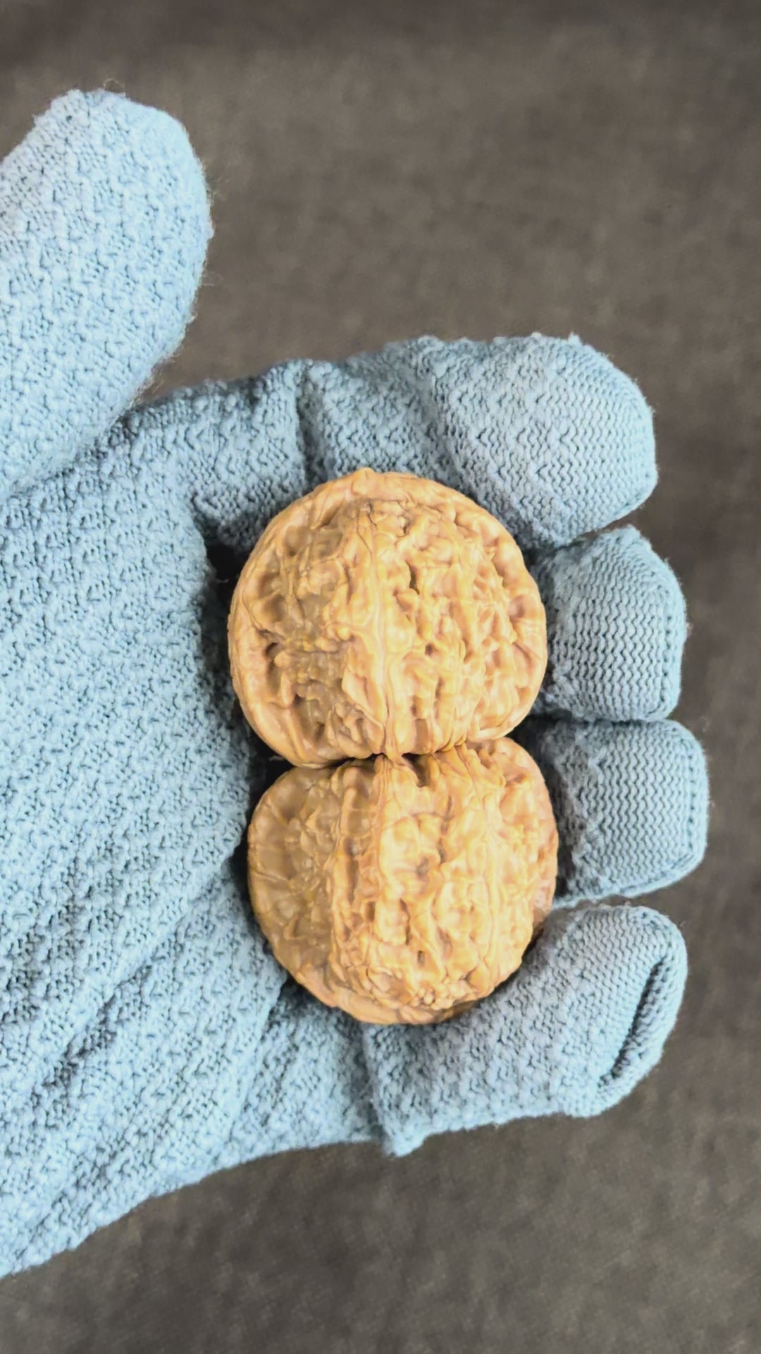 White Lion Head Wenwan Walnut