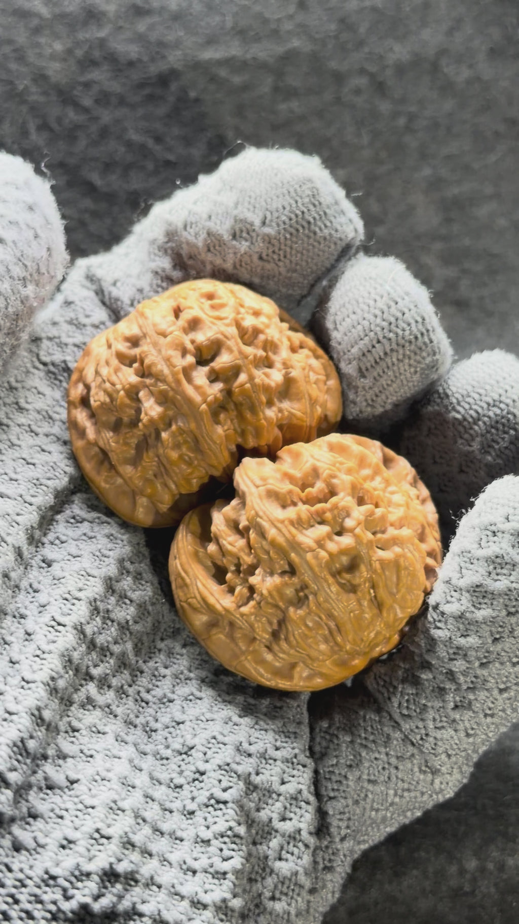 White Lion Wenwan Walnut · 42mm · Select Ritual